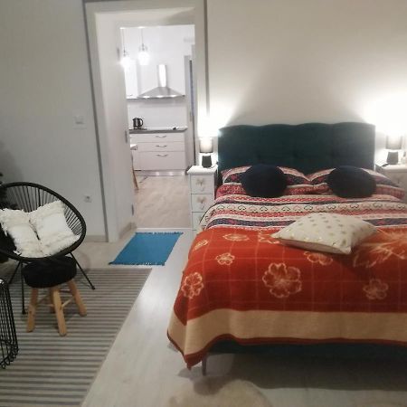 Studio Apartman Manuela Rijeka Exterior photo